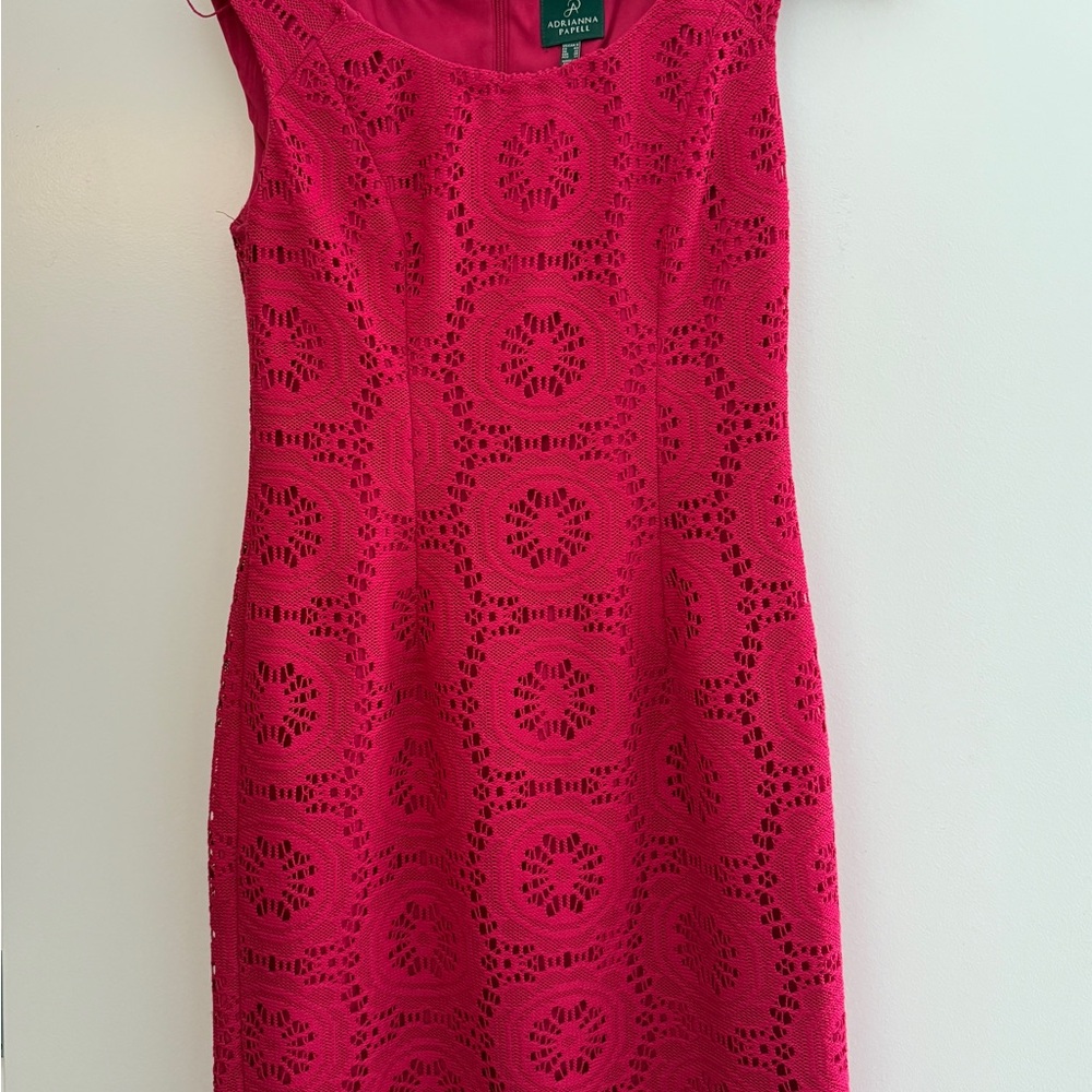 Adrianna Papell Vibrant Pink Lace Mini Dress